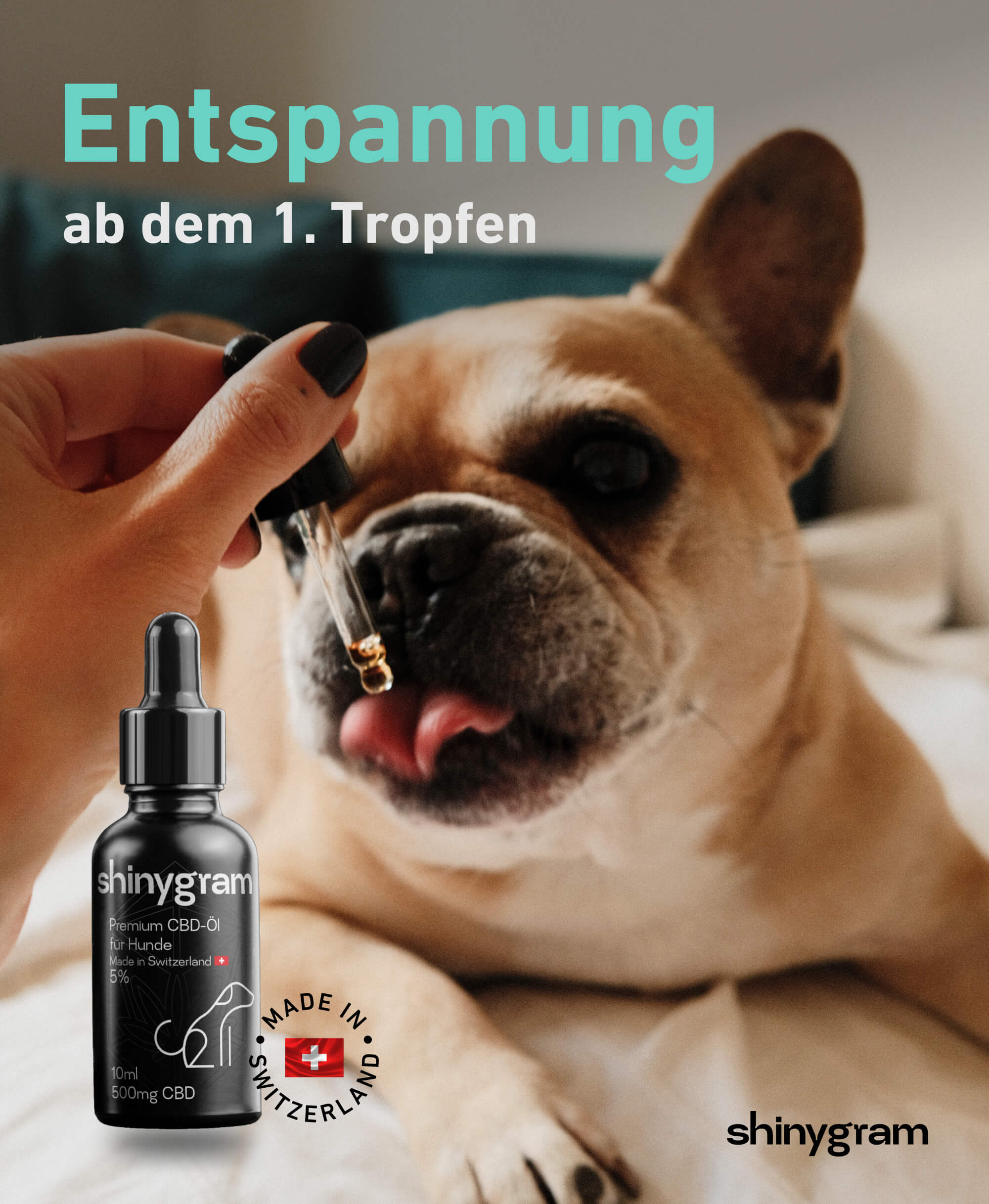 CBD Öl für Hunde Shinygram Schweiz